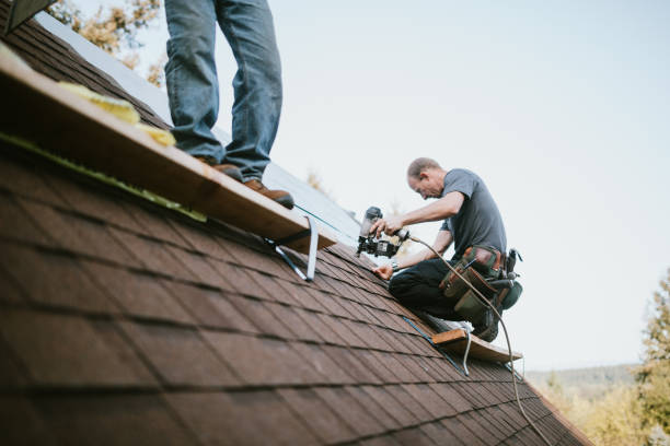 Roof Repair Estimates in Lula, GA